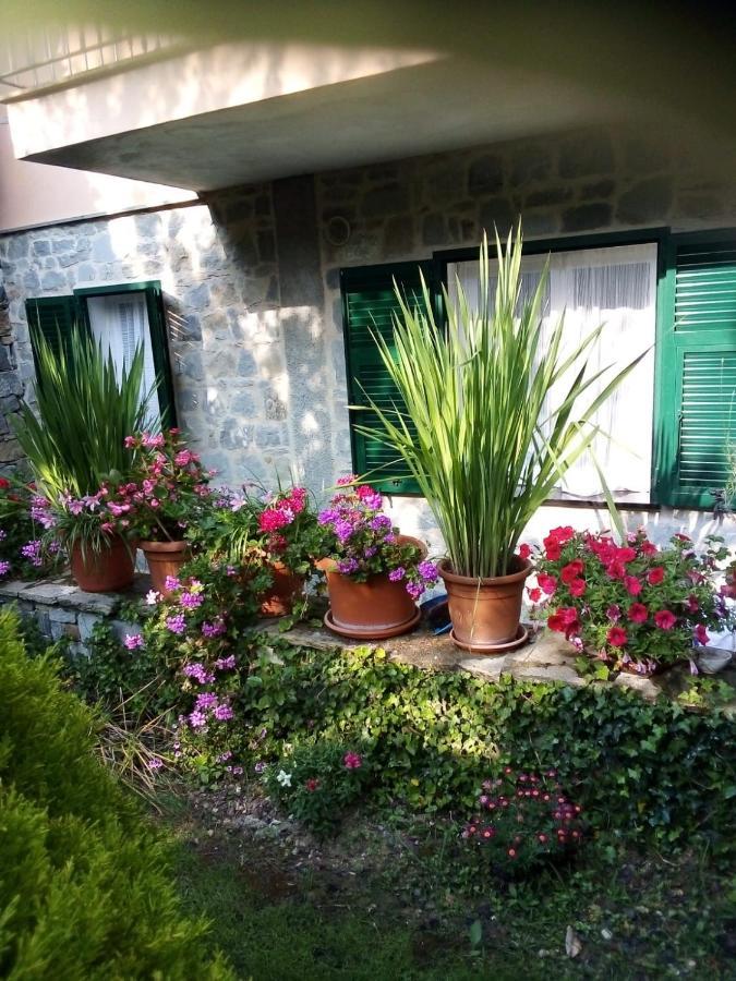 Casa Sylviane Βίλα Pietrabruna Εξωτερικό φωτογραφία